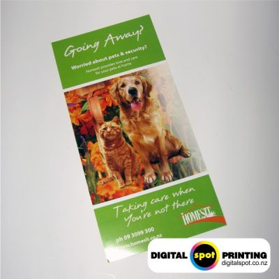Flyers / Rack Cards